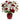 Christmas_Bouquet