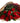 Handheld bouquet of one dozen red roses