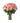 Pink roses bouquet in a vase