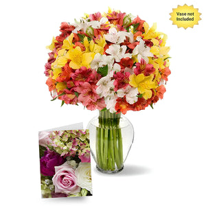 100 Blooms of Alstroemeria I