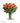 12 Long Stemmed Orange Roses