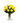 12 Long Stemmed Yellow Roses