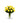 12 Long Stemmed Yellow Roses