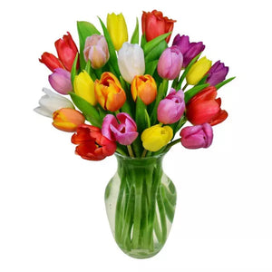 20 Spring Tulips
