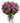 Two Dozen Long Stemmed Lavender Roses

