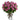Two Dozen Long Stemmed Lavender Roses
