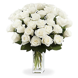 36 Long Stem White Roses