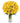 36 Long Stem Yellow Roses 