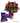 Sweet Six Chocolate Bloom