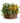 Bountiful Planter Basket