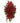 red_casket_spray