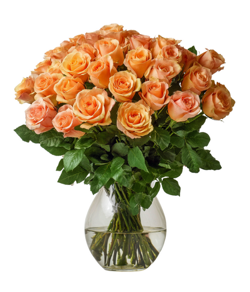 Gift 36 Long Stem Orange Roses in Carleton Place | The Blossom Shop