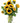 Sunshine Sunflowers