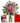 flowers cards and truffles