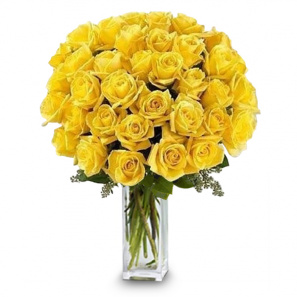 36 Long Stem Yellow Roses 