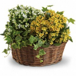 Bountiful Planter Basket